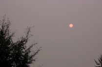 No problem looking into the sun when there's dense smoke between you and it.